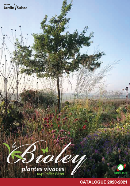 Pépinière le Bioley - Catalogue plantes vivaces - 2018-2019